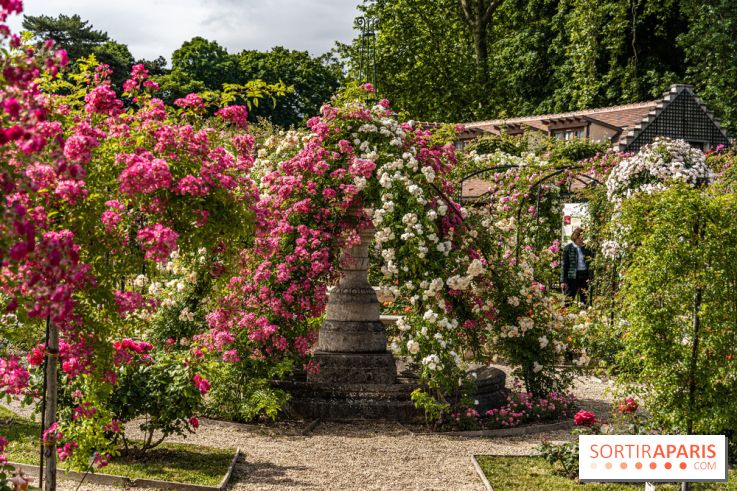 La Roseraie Du Val De Marne L Ha Les Roses Le Jardin Remarquable Et