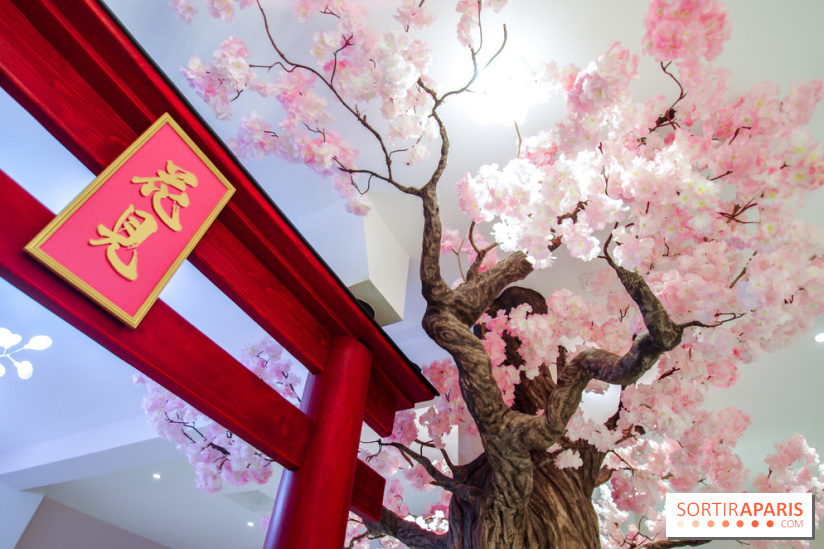 Hanami Tea Time, nos photos