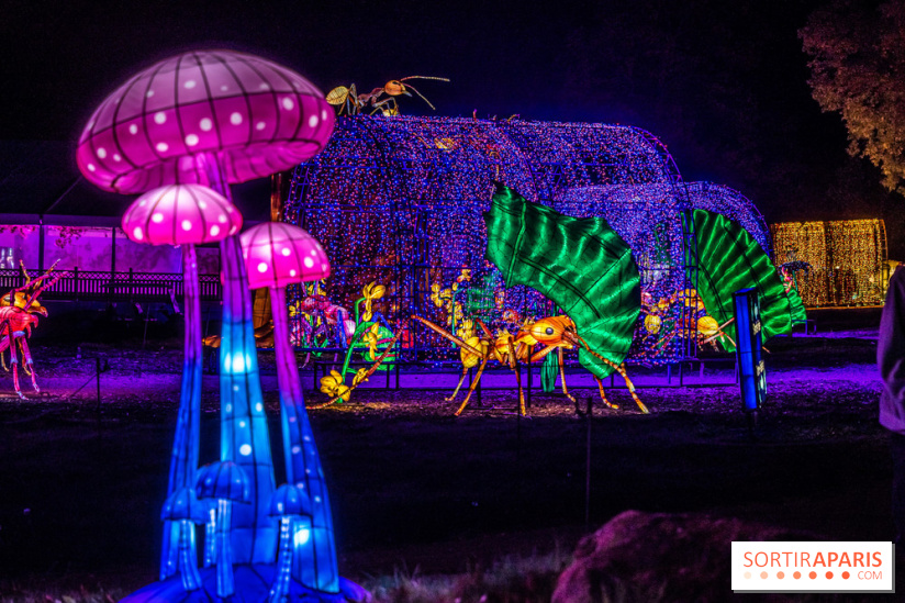 Thoiry Lumières Sauvages 2022 - 2023