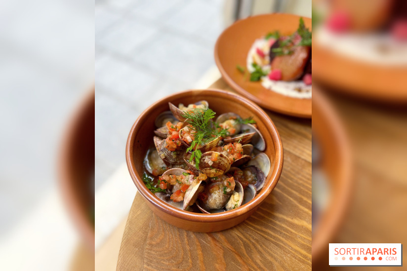 Restaurant méditerranéen Dune - Vongole