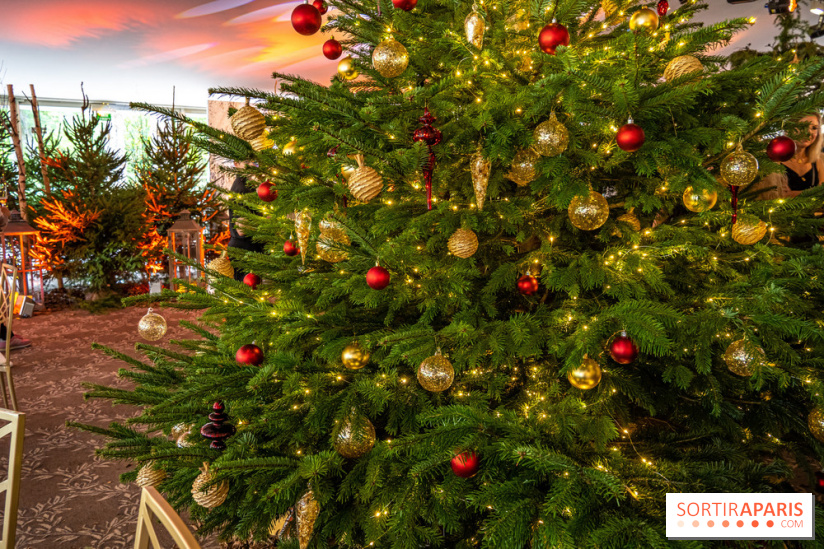 Visuels Noël - sapin