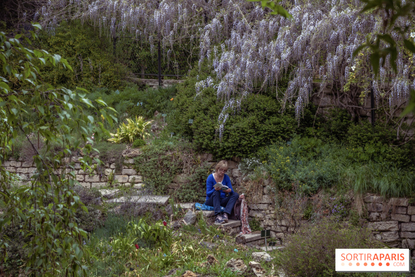 Le Jardin Alpin caché du Jardin des Plantes