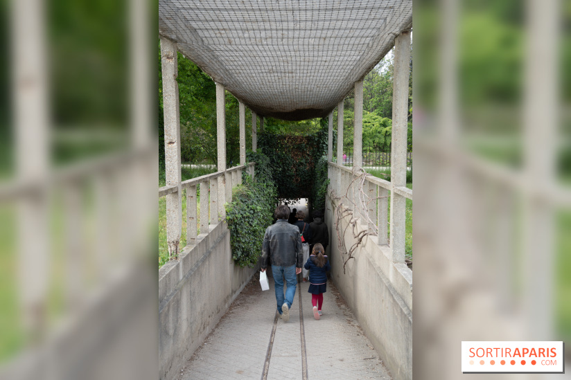 Le Jardin Alpin caché du Jardin des Plantes