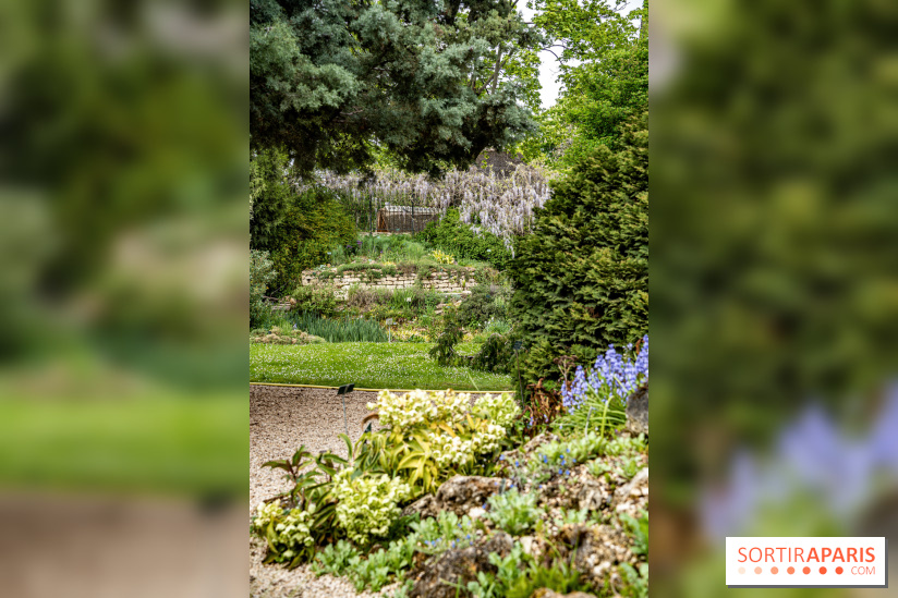 Le Jardin Alpin caché du Jardin des Plantes
