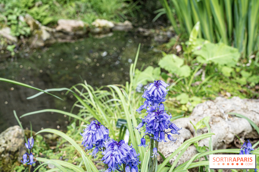Le Jardin Alpin caché du Jardin des Plantes
