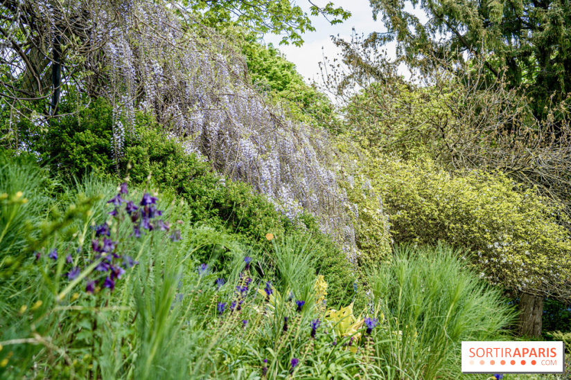 Le Jardin Alpin caché du Jardin des Plantes