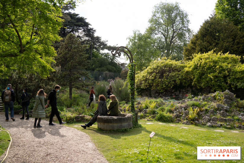 Le Jardin Alpin caché du Jardin des Plantes