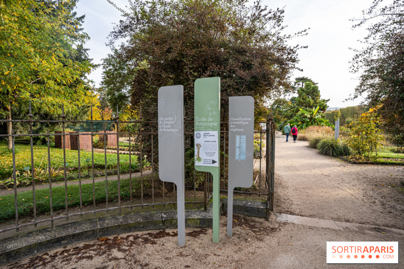 Le Jardin Alpin caché du Jardin des Plantes