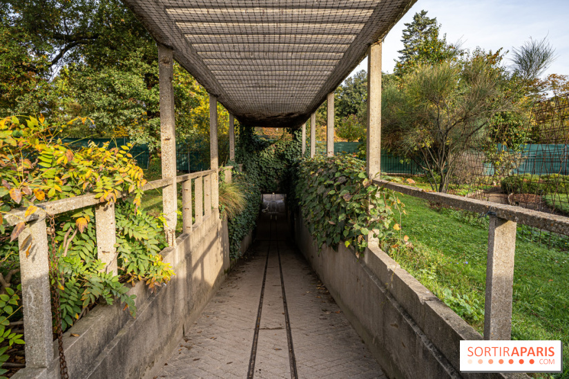Le Jardin Alpin caché du Jardin des Plantes
