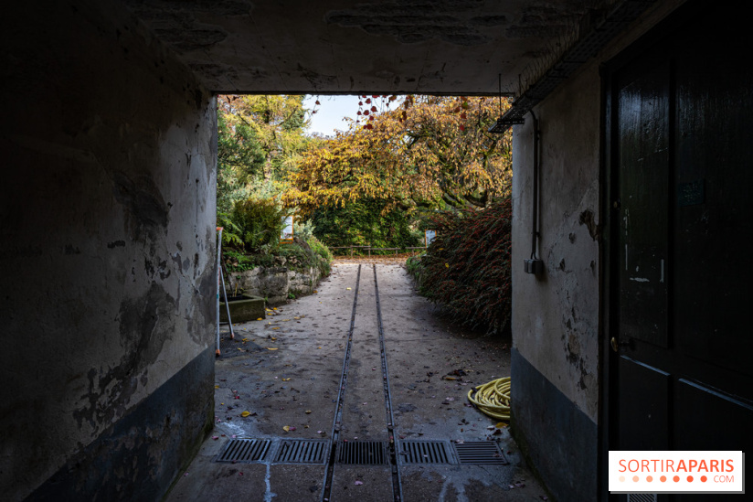 Le Jardin Alpin caché du Jardin des Plantes