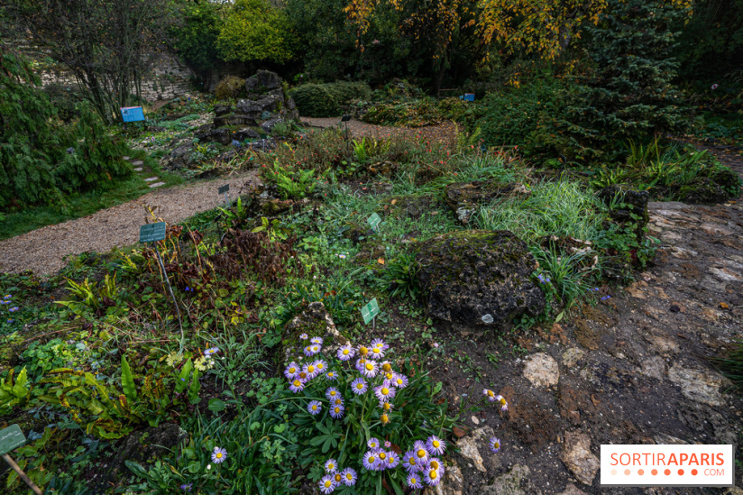 Le Jardin Alpin caché du Jardin des Plantes