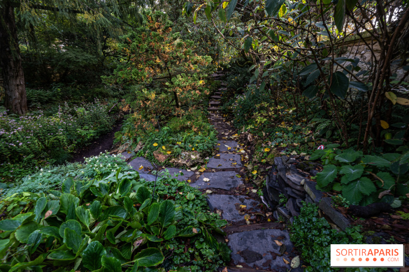 Le Jardin Alpin caché du Jardin des Plantes