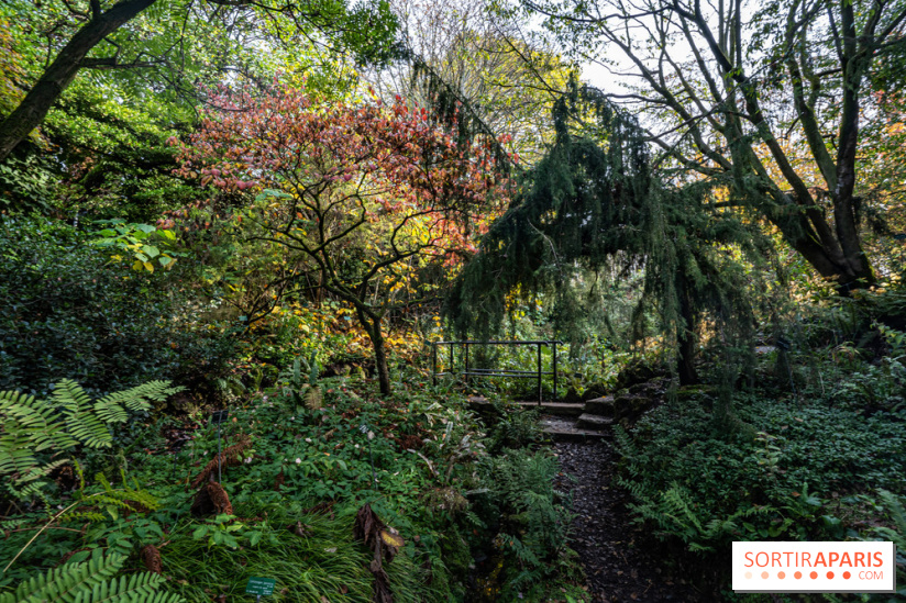 Le Jardin Alpin caché du Jardin des Plantes