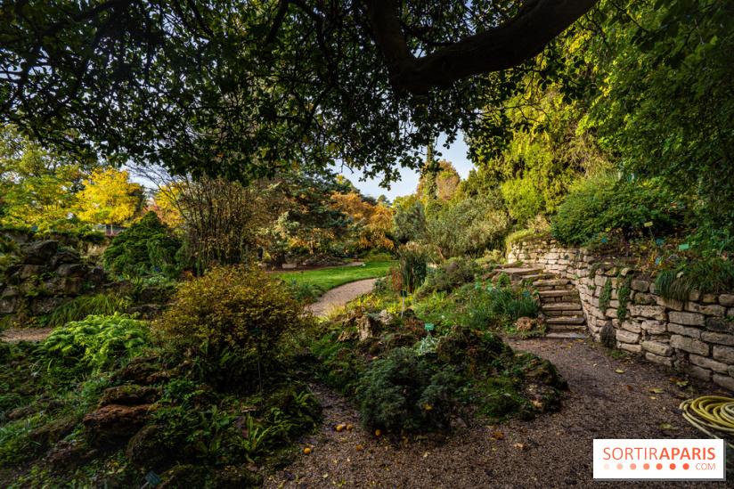 Le Jardin Alpin caché du Jardin des Plantes