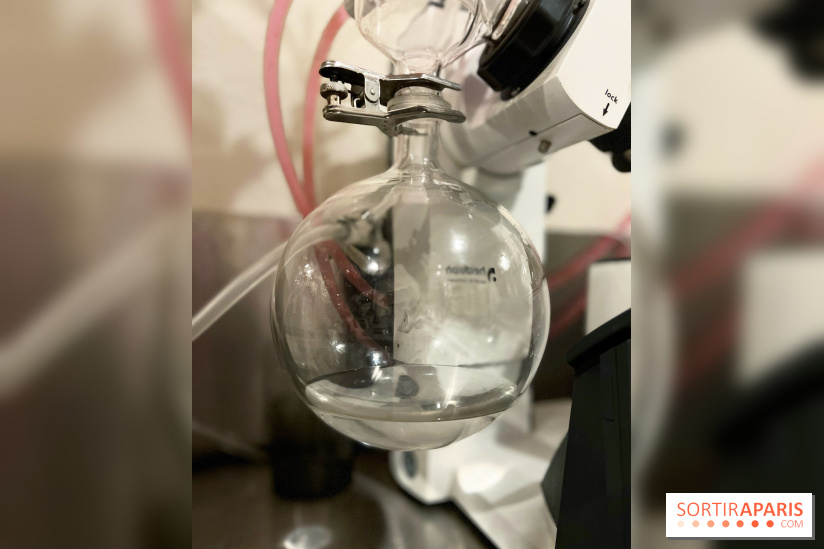 Atelier création de gin à la distillerie Baccae