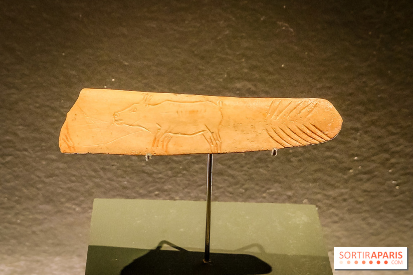 Arts et Préhistoire, l'exposition de peintures rupestres au Musée de l'Homme - nos photos