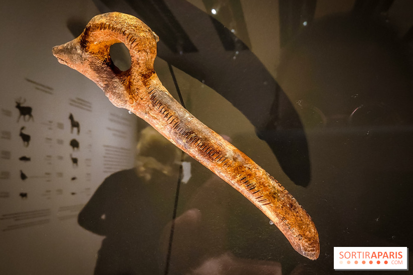 Arts et Préhistoire, l'exposition de peintures rupestres au Musée de l'Homme - nos photos