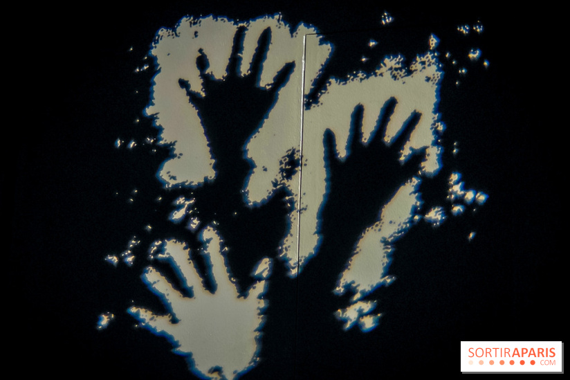 Arts et Préhistoire, l'exposition de peintures rupestres au Musée de l'Homme - nos photos