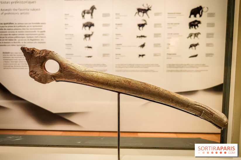Arts et Préhistoire, l'exposition de peintures rupestres au Musée de l'Homme - nos photos