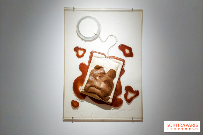 Le synthétique au cœur de l’humain, nos photos de l'expo au Centre culturel canadien