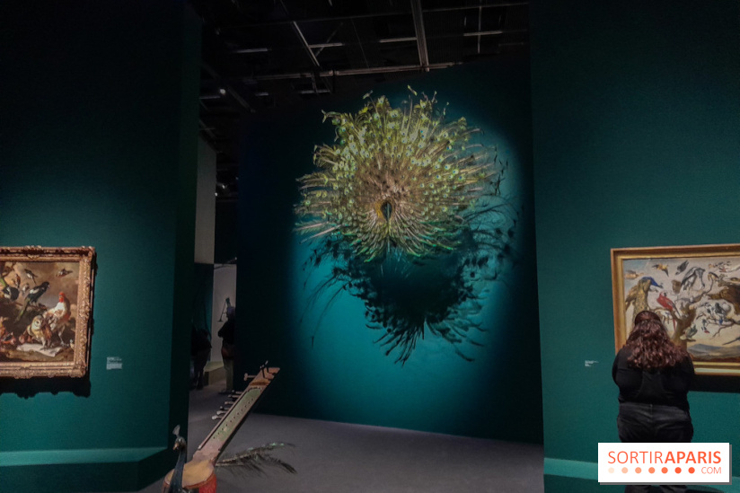 Musicanimale, l'exposition à la Philharmonie