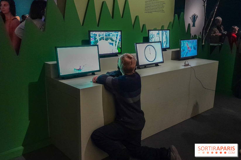 Musicanimale, l'exposition à la Philharmonie