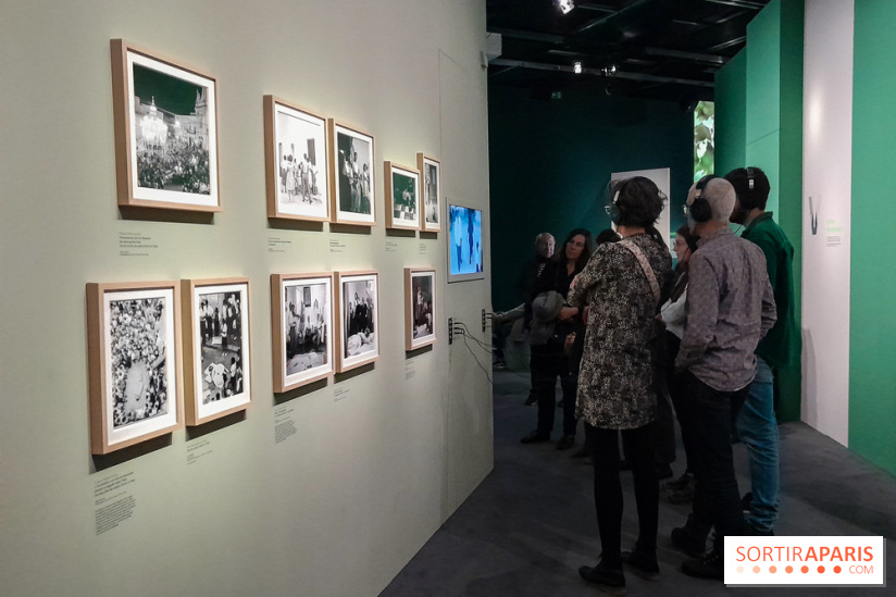 Musicanimale, l'exposition à la Philharmonie