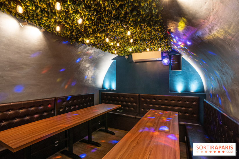 Dimdimsum Paris, le restaurant de vapeurs - karaoké