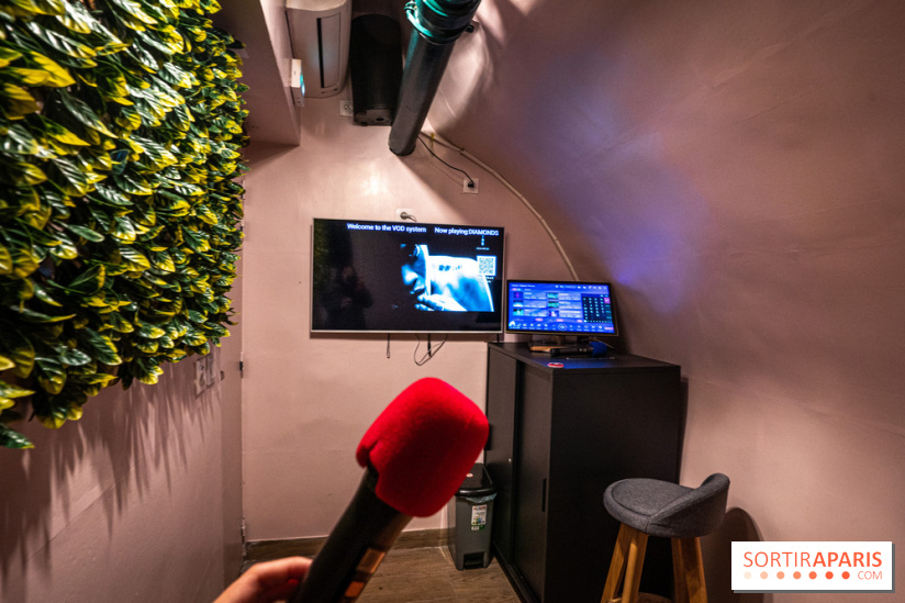 Dimdimsum Paris, le restaurant de vapeurs - karaoké