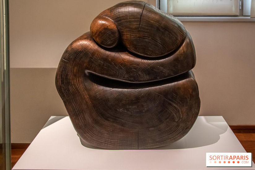 Carte Blanche à Wang Keping au Musée Guimet - nos photos