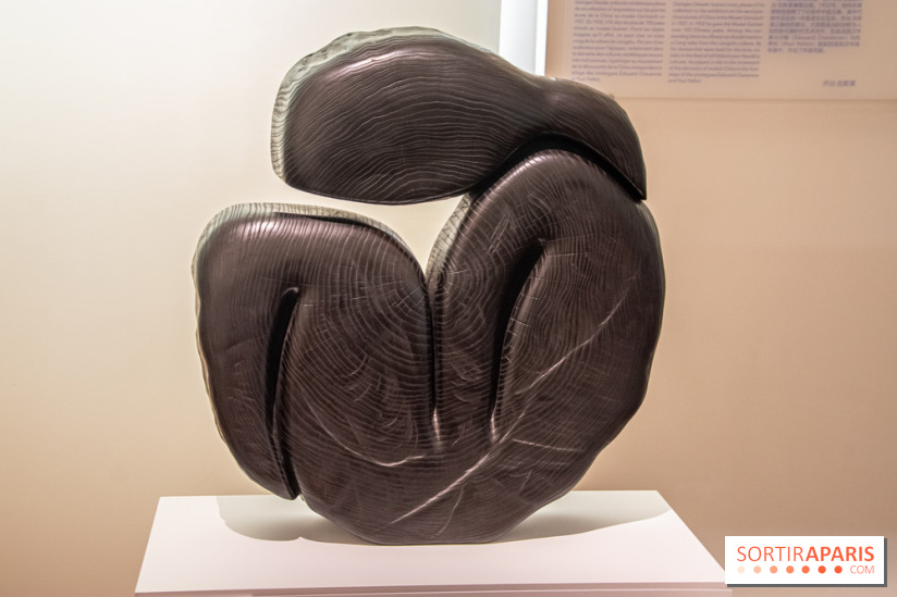 Carte Blanche à Wang Keping au Musée Guimet - nos photos