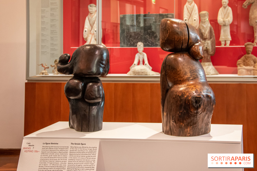Carte Blanche à Wang Keping au Musée Guimet - nos photos