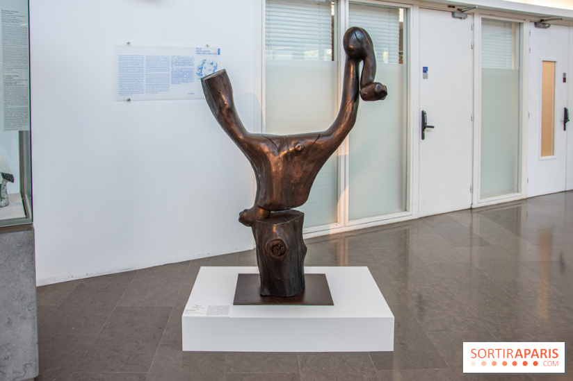 Carte Blanche à Wang Keping au Musée Guimet - nos photos