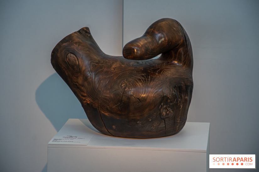 Carte Blanche à Wang Keping au Musée Guimet - nos photos