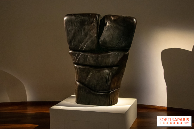 Carte Blanche à Wang Keping au Musée Guimet - nos photos