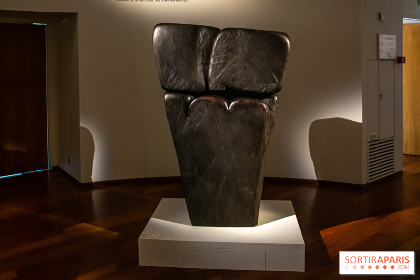 Carte Blanche à Wang Keping au Musée Guimet - nos photos