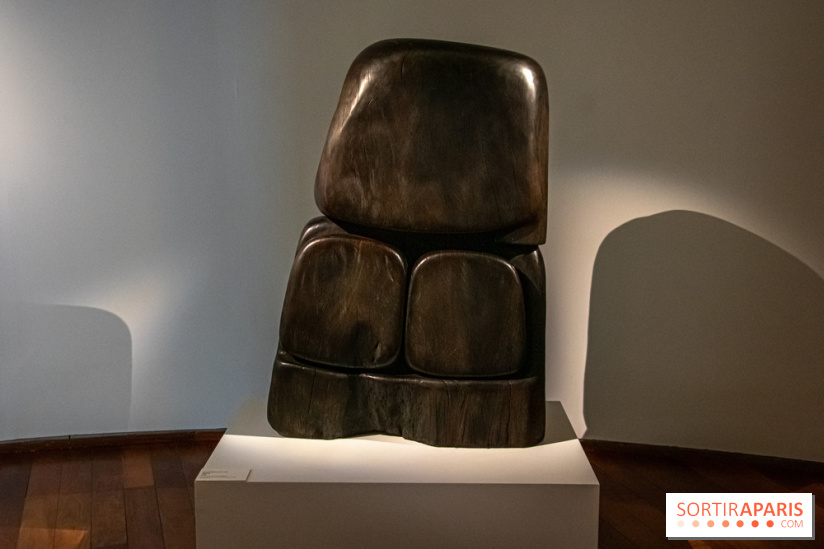 Carte Blanche à Wang Keping au Musée Guimet - nos photos