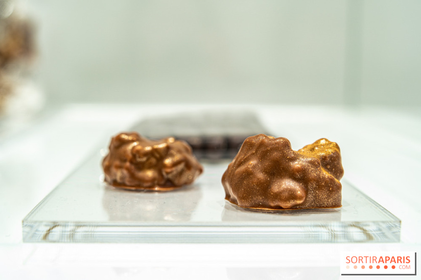 Jade Genin Chocolaterie Paris, les photos  - rocher chocolat lait