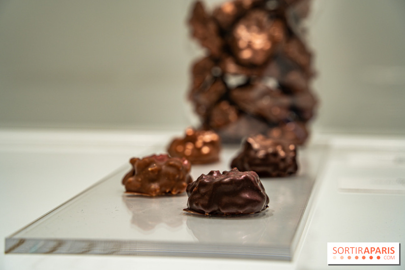 Jade Genin Chocolaterie Paris, les photos  - rocher chocolat
