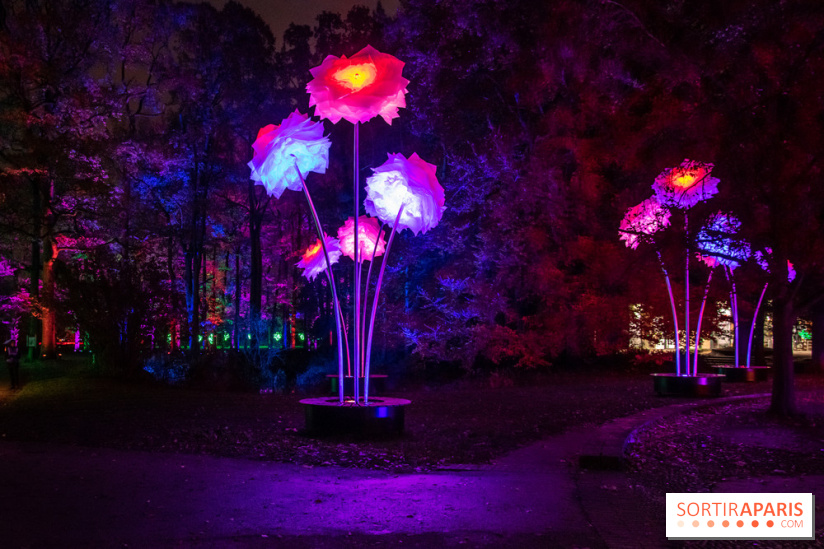 Illuminations de Noël 2022 : les Sentiers Lumineux de Noël au Parc Floral - derniers jours 