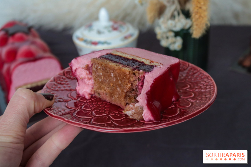 Les bûches de Noël 2022 d'oh oui!, la pâtisserie sans sucres IG bas- buche fruits rouges