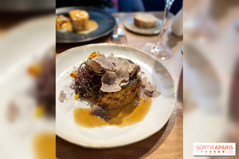 Source - Chartreuse et truffe noire