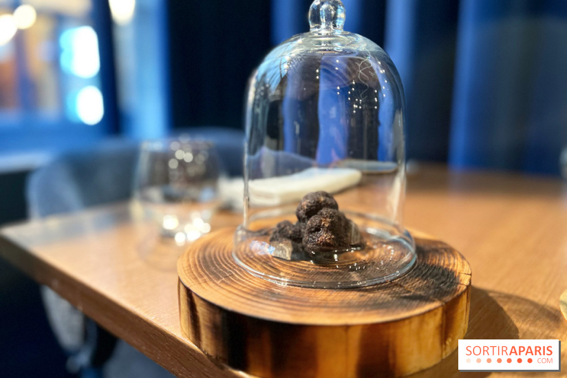 Source - Truffe noire