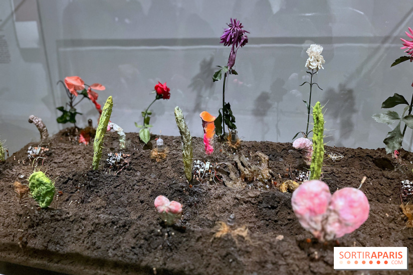 Les Choses au Musée du Louvre