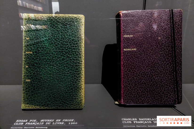 Serge Gainsbourg, le mot exact, nos photos