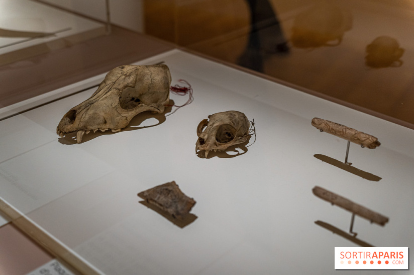 Picasso et la Préhistoire, les photos de l'exposition au Musée de l'Homme