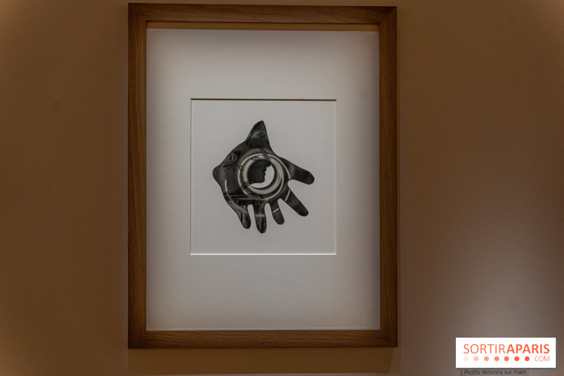 Picasso et la Préhistoire, les photos de l'exposition au Musée de l'Homme