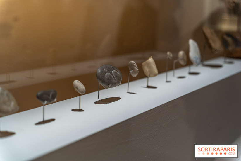 Picasso et la Préhistoire, les photos de l'exposition au Musée de l'Homme