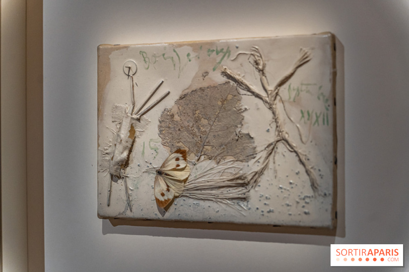 Picasso et la Préhistoire, les photos de l'exposition au Musée de l'Homme