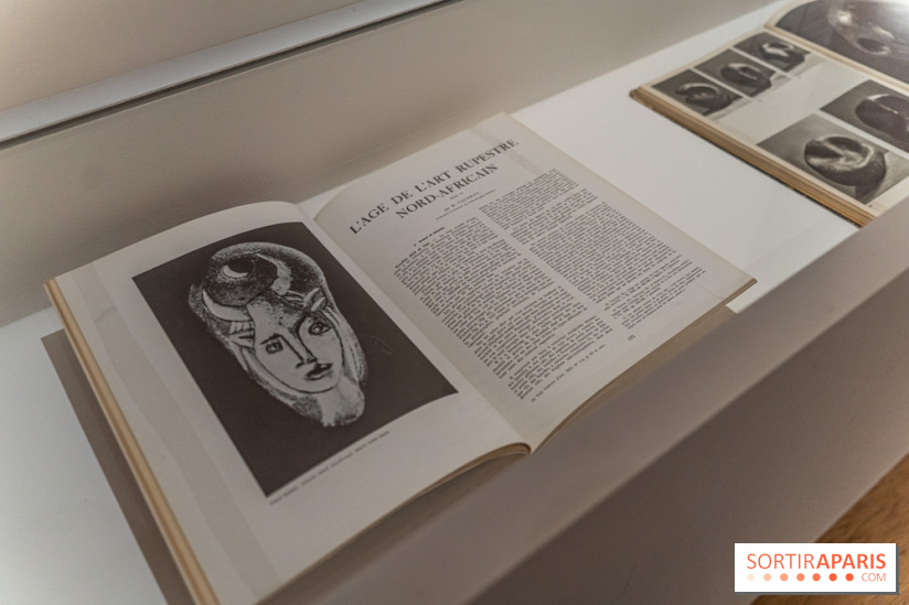 Picasso et la Préhistoire, les photos de l'exposition au Musée de l'Homme